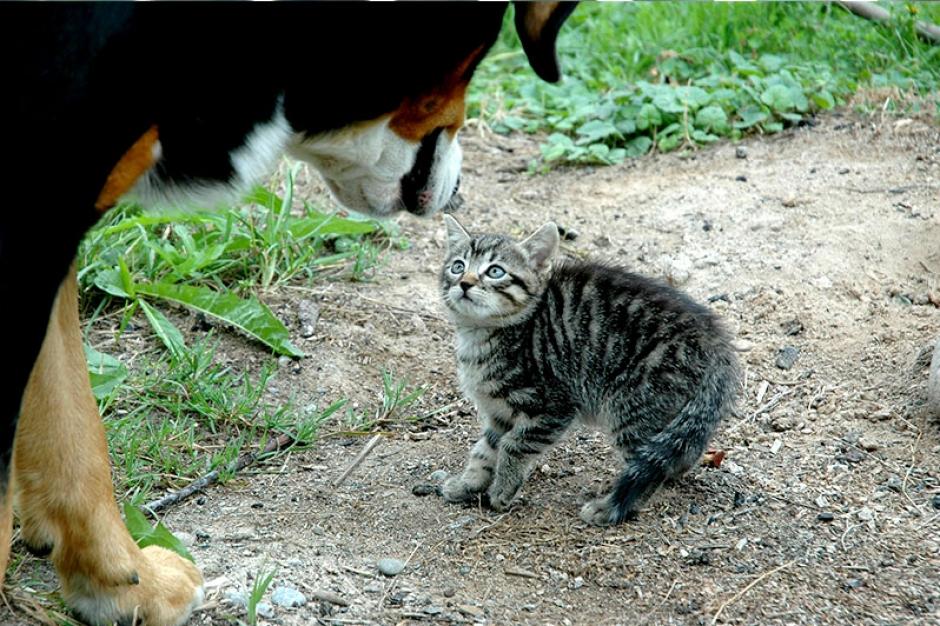 cosa-succede-fotografia.jpg